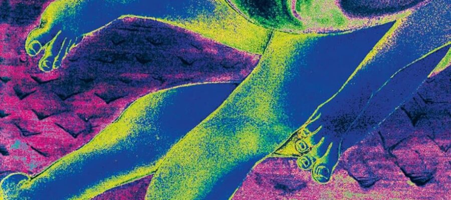 T. C. Boyle: Fleischeslust 1 Fleischeslust