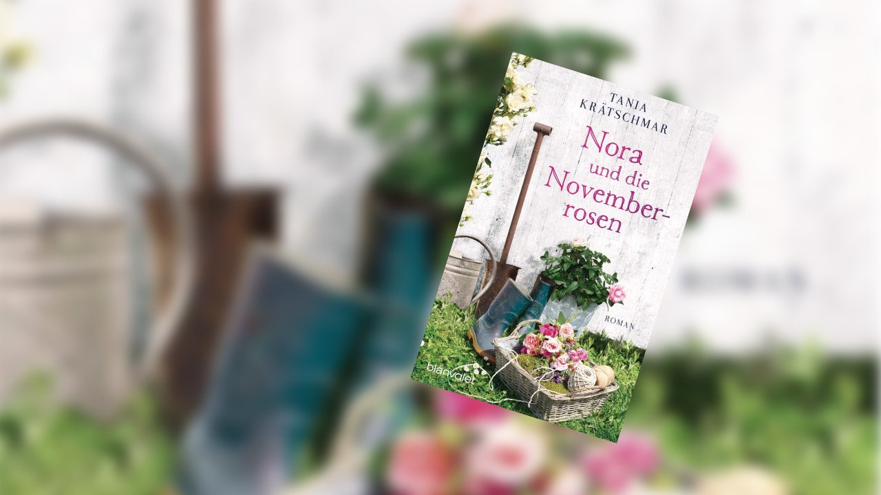 Nora und die Novemberrosen Nora und die Novemberrosen