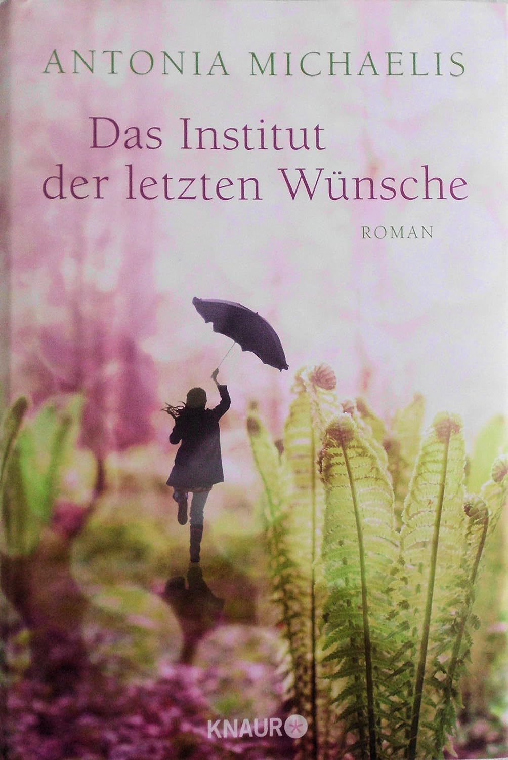 Das Institut der letzten Wünsche Das Institut der letzten Wünsche