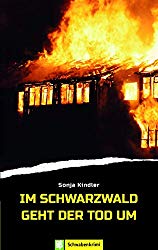 a book cover of a house on fire