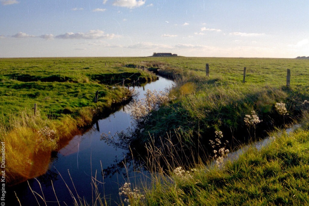 »Die Farbe des Nordwinds« von Klara Jahn 3 ScanImage102