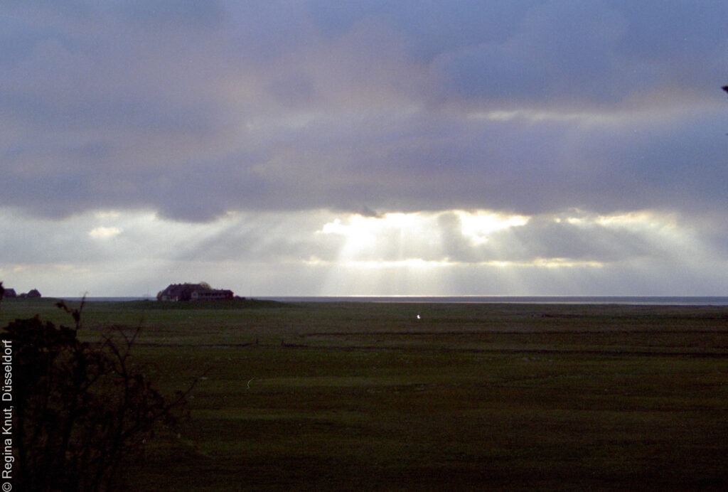 »Die Farbe des Nordwinds« von Klara Jahn 2 ScanImage105