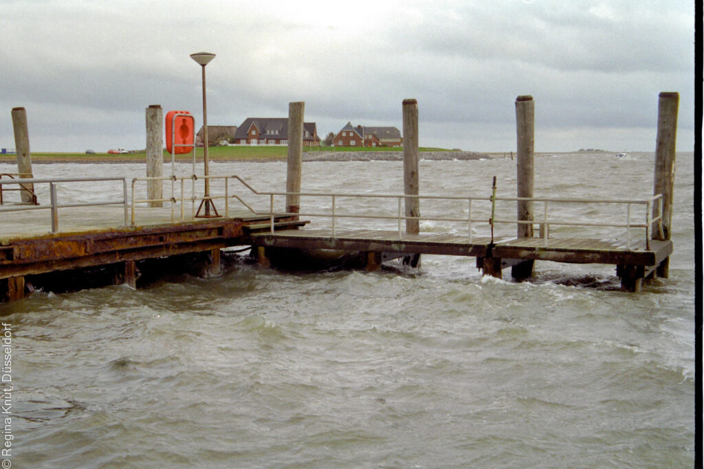 »Die Farbe des Nordwinds« von Klara Jahn 4 ScanImage514