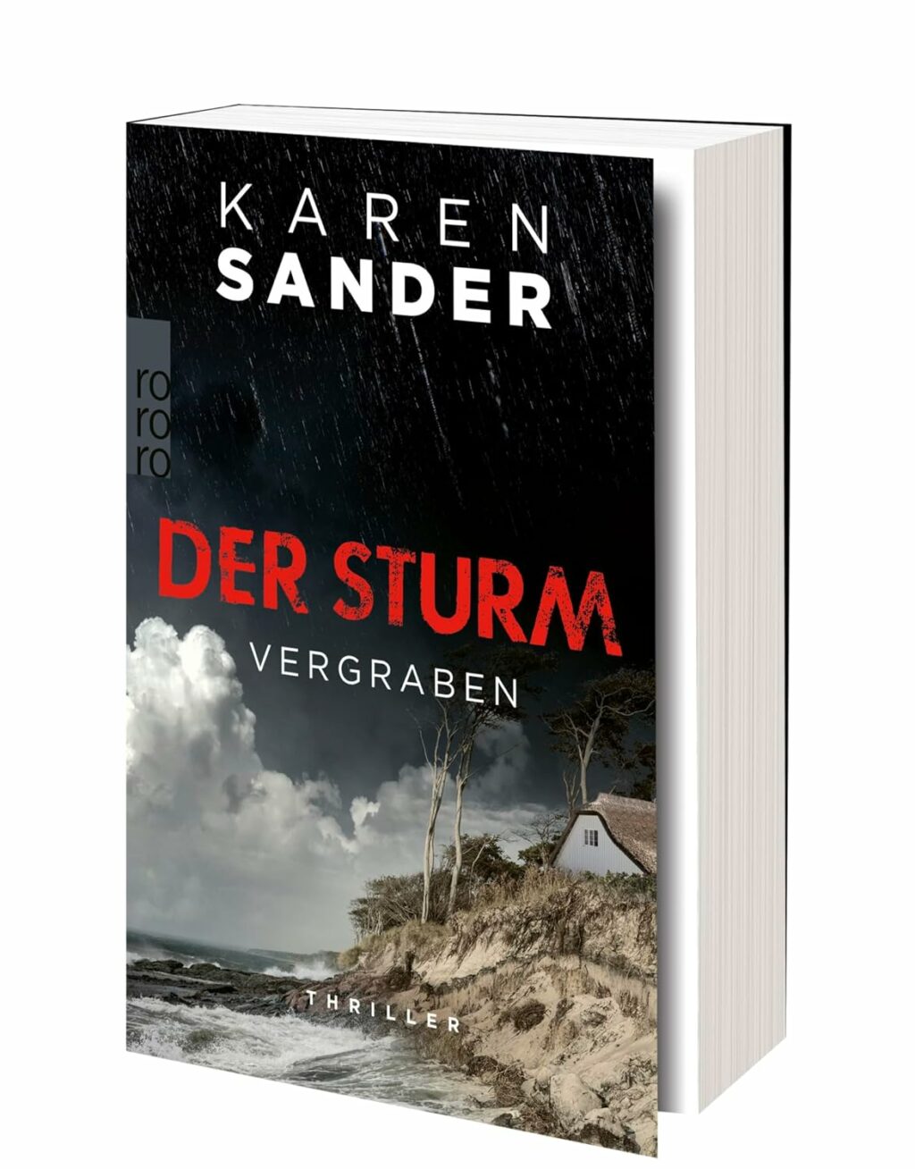»Der Sturm: vergraben« von Karen Sander 16 Der Sturm: Vergraben