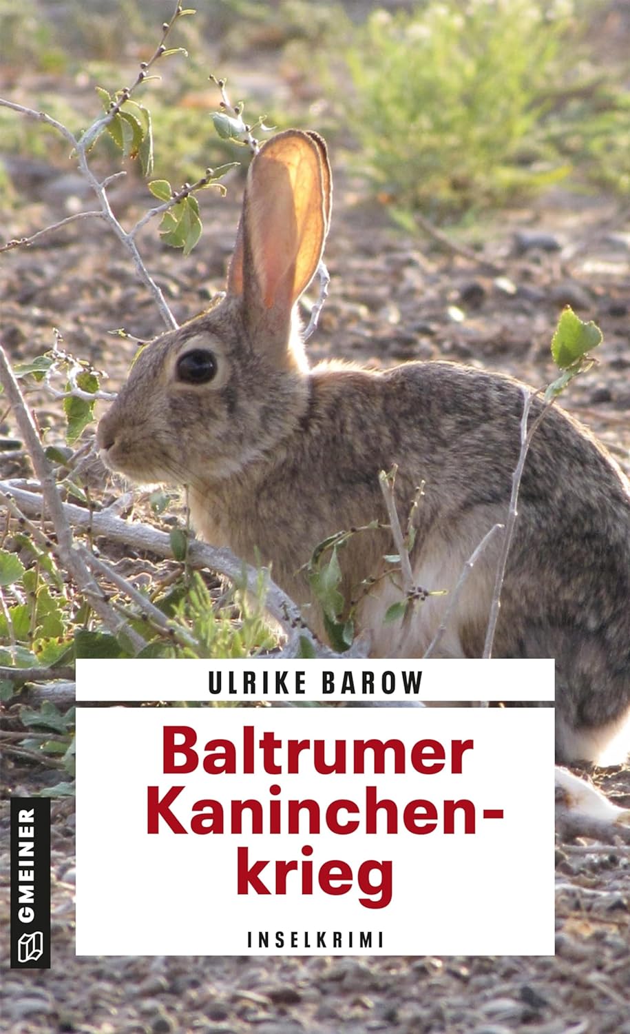 "Baltrumer Kaninchenkrieg" von Ulrike Barow 13 Baltrumer Kaninchenkrieg