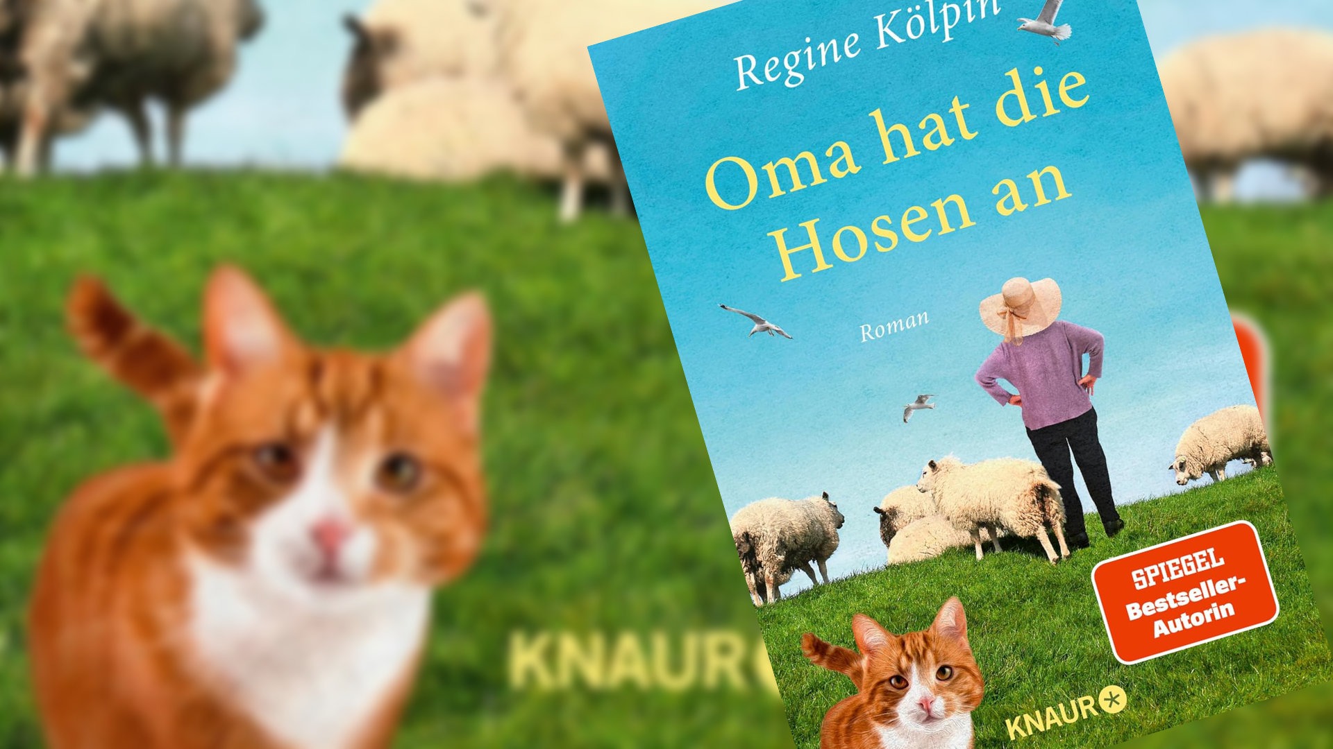 Oma hat die Hosen an Oma hat die Hosen an
