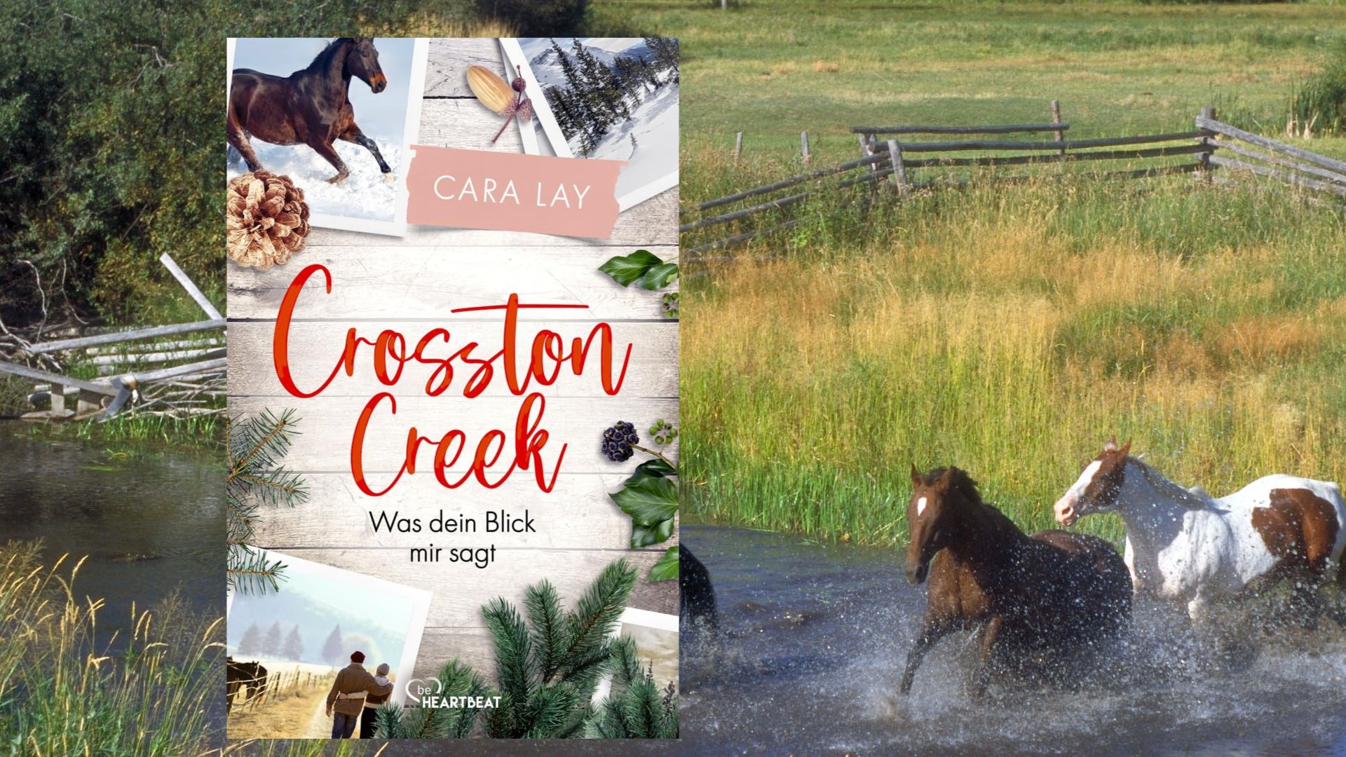 Crosston Creek Crosston Creek