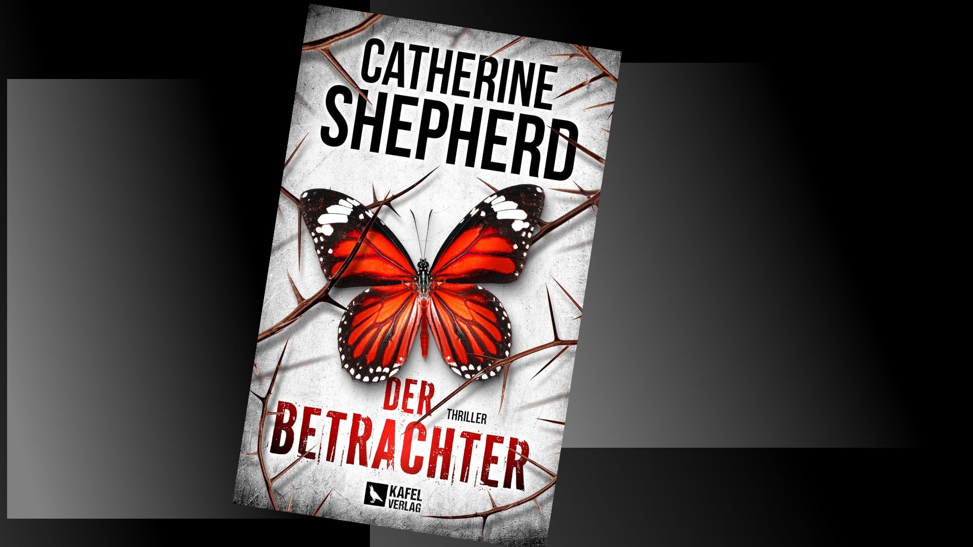 Der Betrachter Der Betrachter