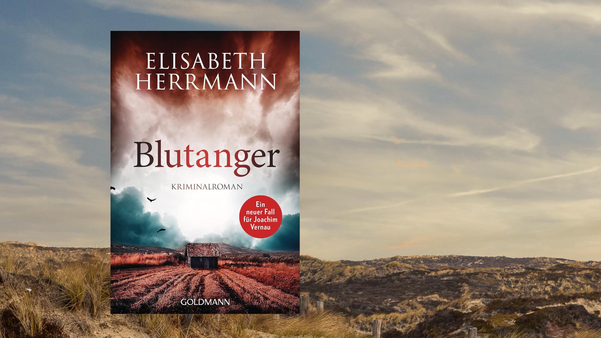 Blutanger Blutanger