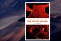 Der Tote im Vulkan
