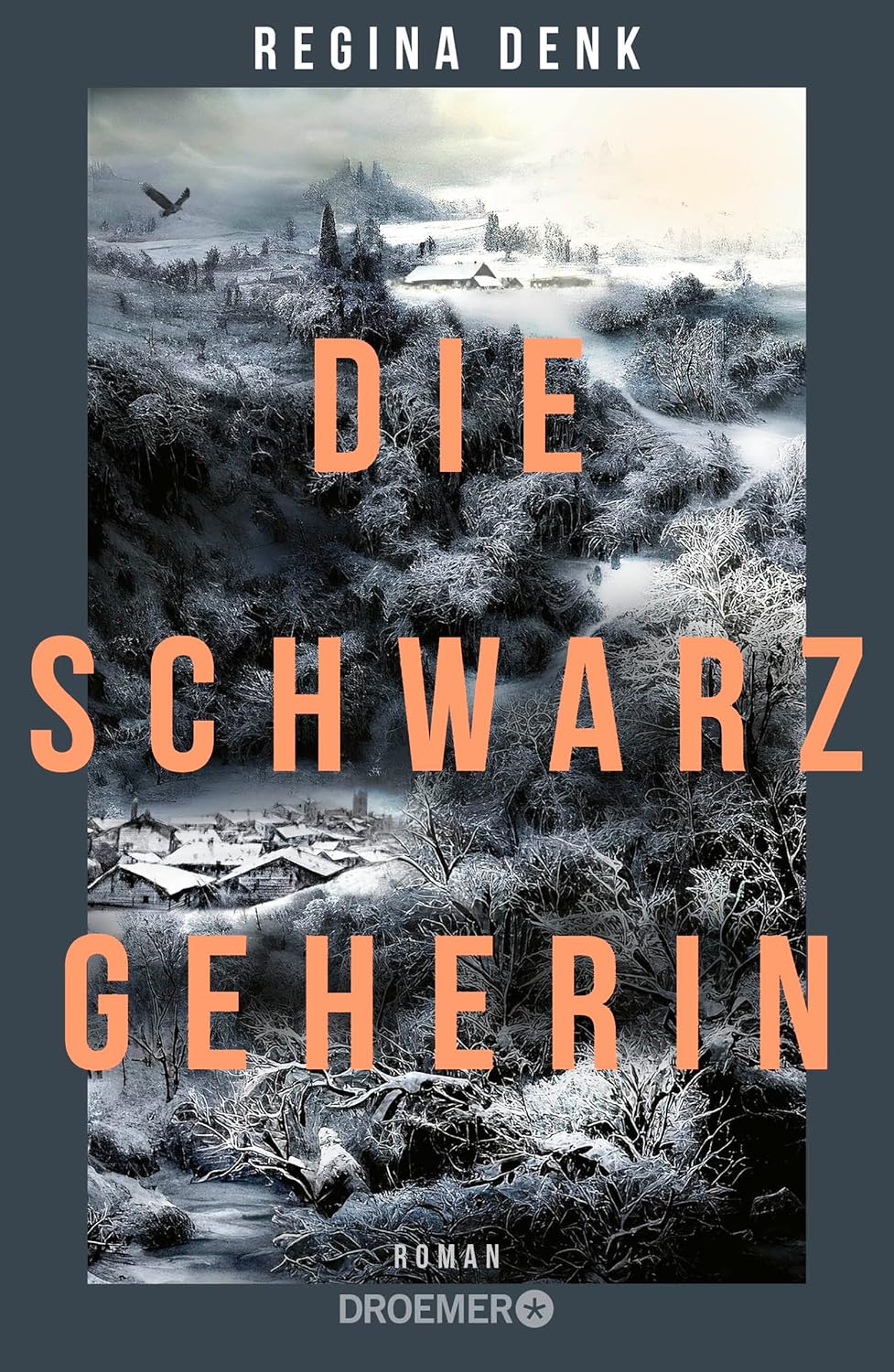 Top 5 Rezensionen des letzten Monats 4 Die Schwarzgeherin