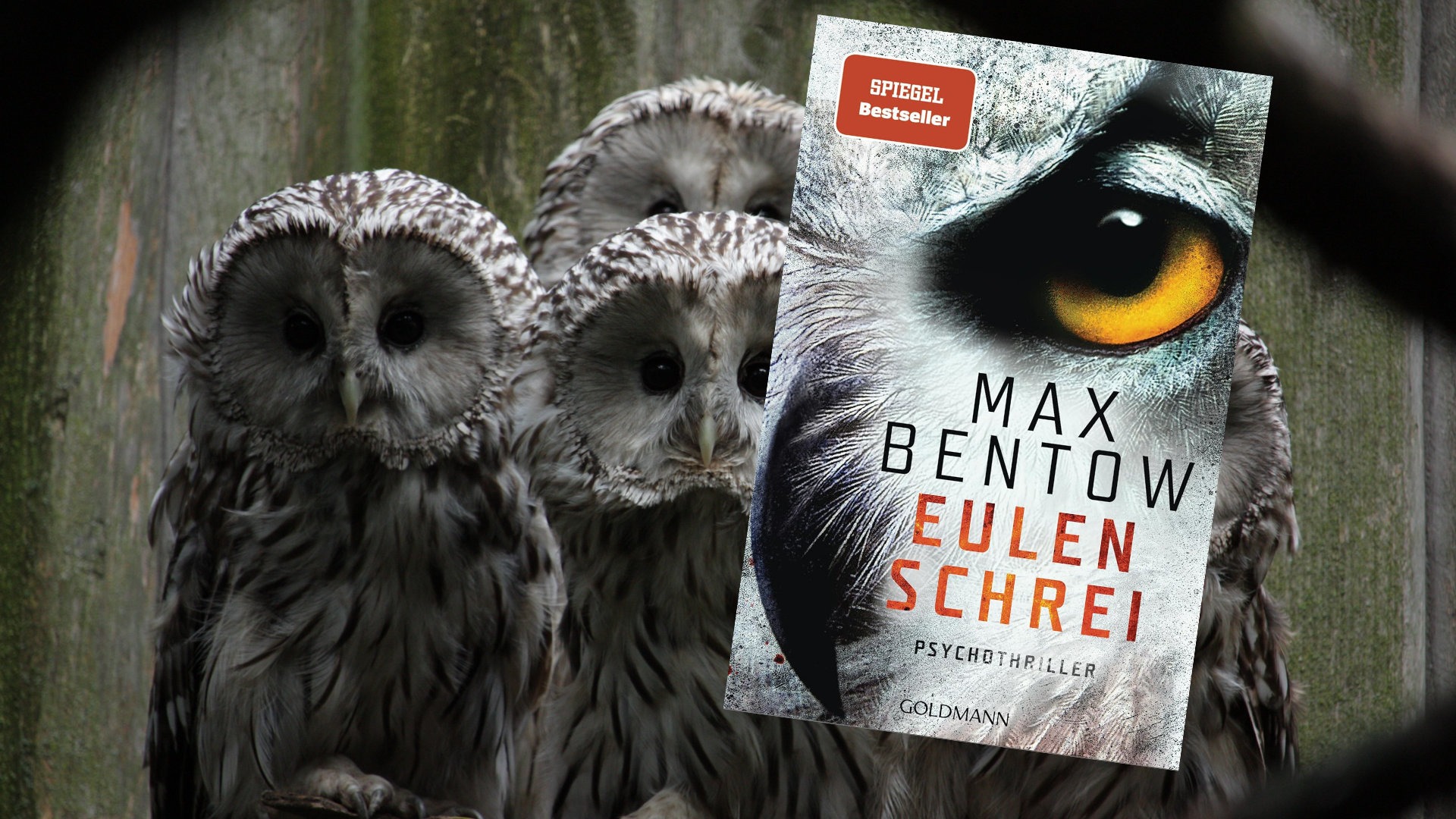 Eulenschrei