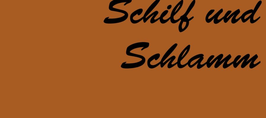 Schilf und Schlamm