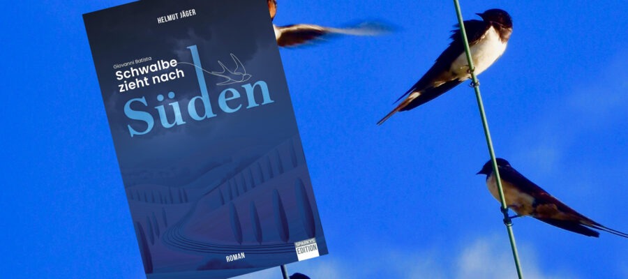 Schwalbe zieht nach Süden