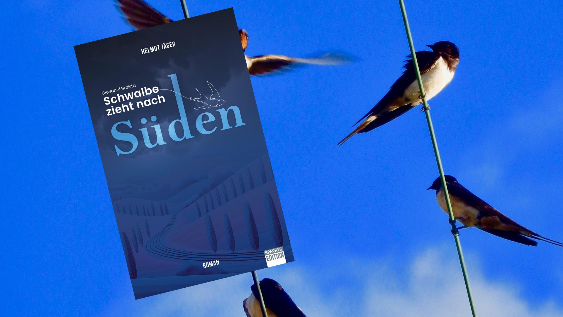 Schwalbe zieht nach Süden Schwalbe zieht nach Süden