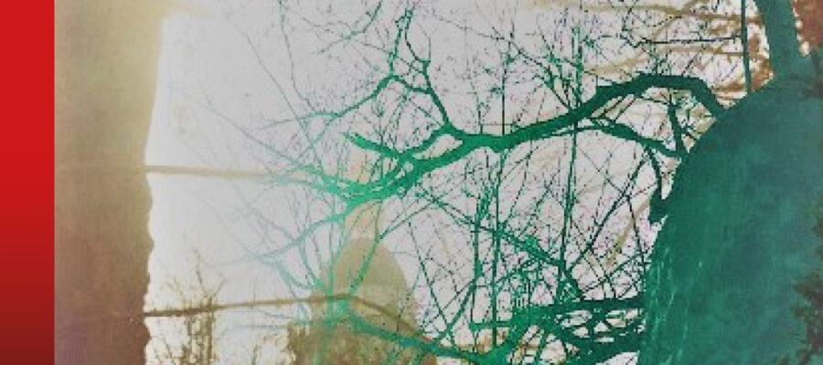 Lou Parker – Ich habe getötet …