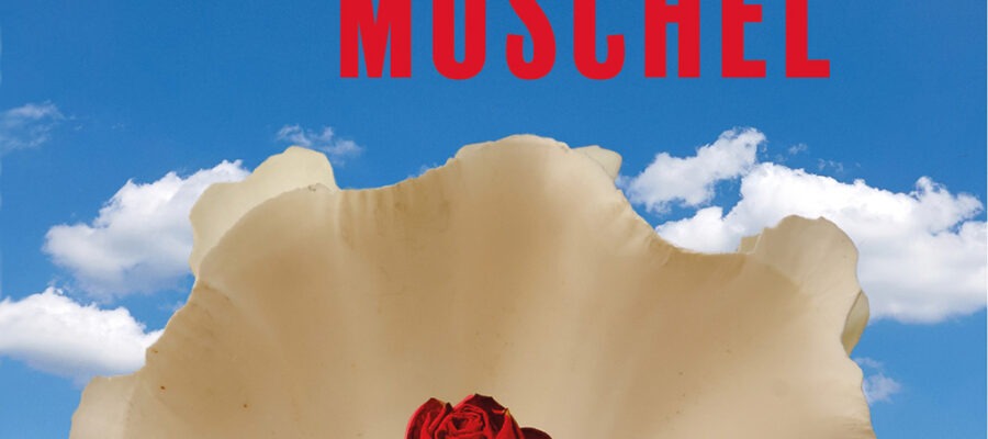 Mördermuschel 1 Mördermuschel