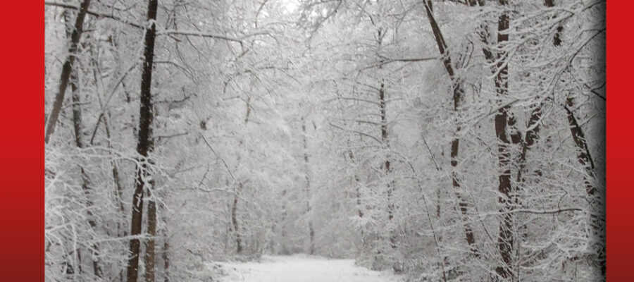 Tödlicher Hundekurs