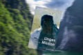 »Linges Mission« von Oystein Wiik 4 Linges Mission