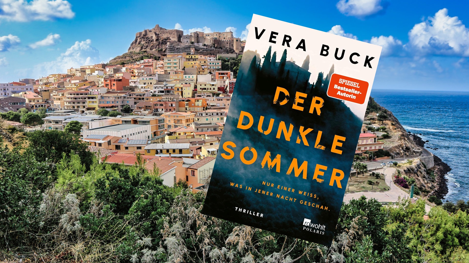 Der dunkle Sommer Der dunkle Sommer