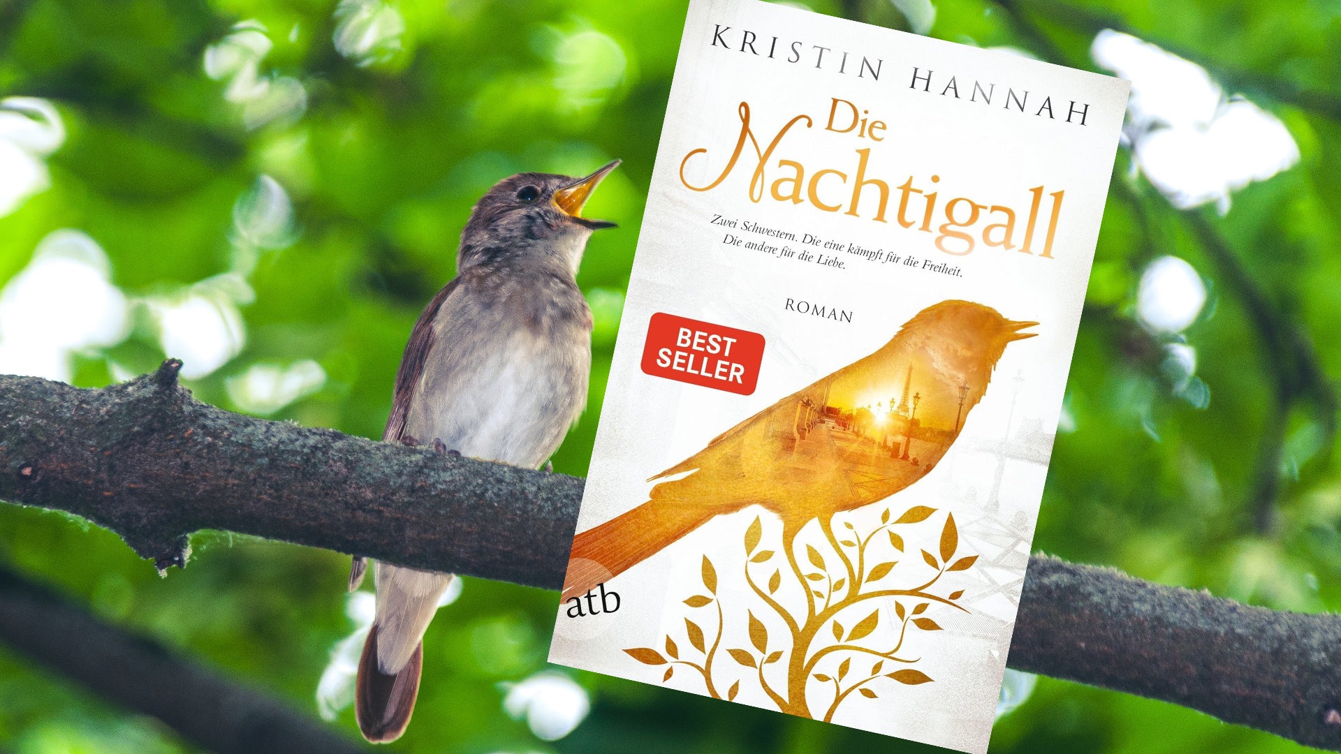 Die Nachtigall Die Nachtigall