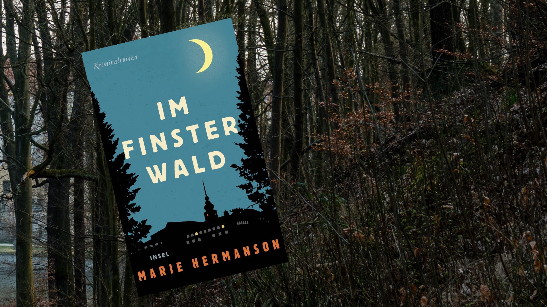 Im Finsterwald Im Finsterwald