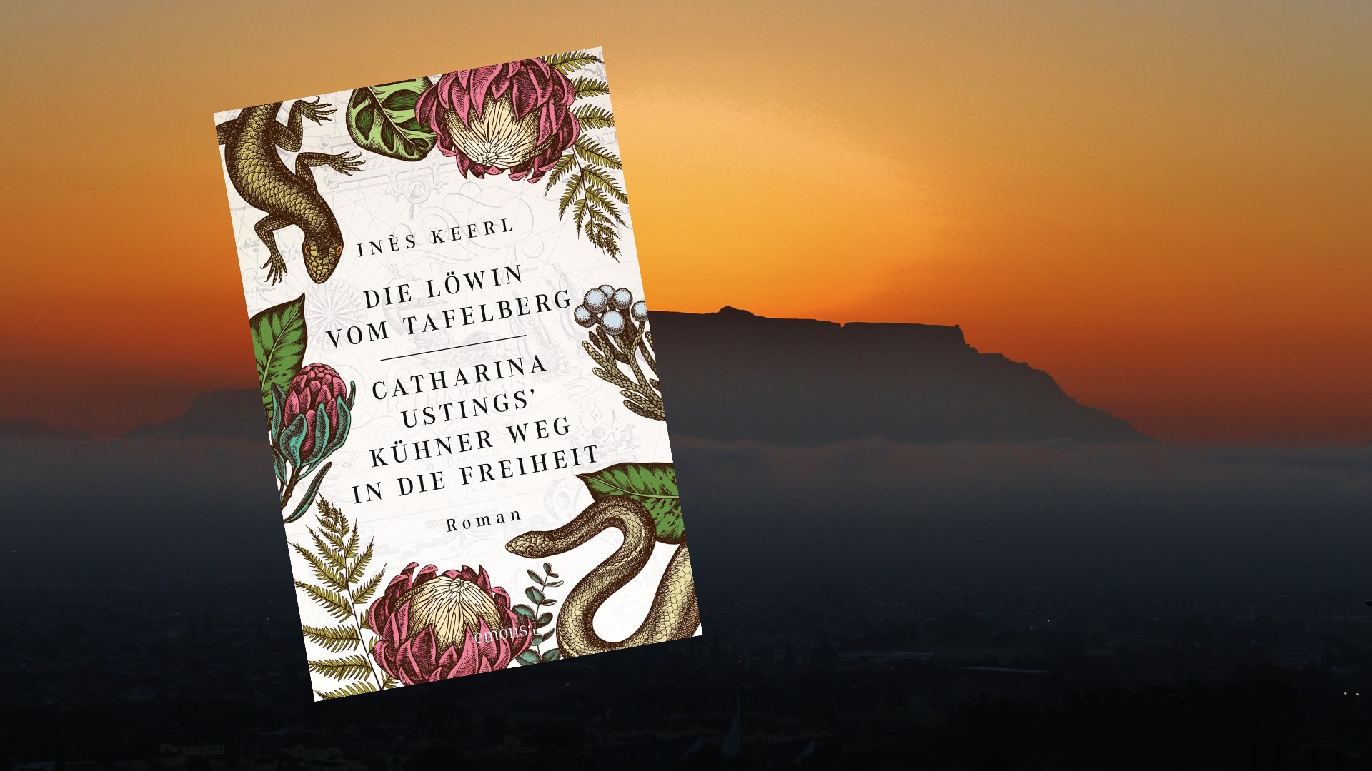 Die Löwin vom Tafelberg Die Löwin vom Tafelberg