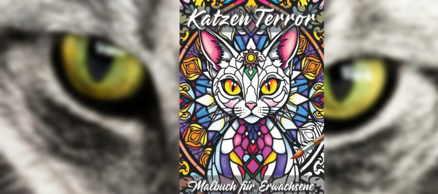 Katzen Terror