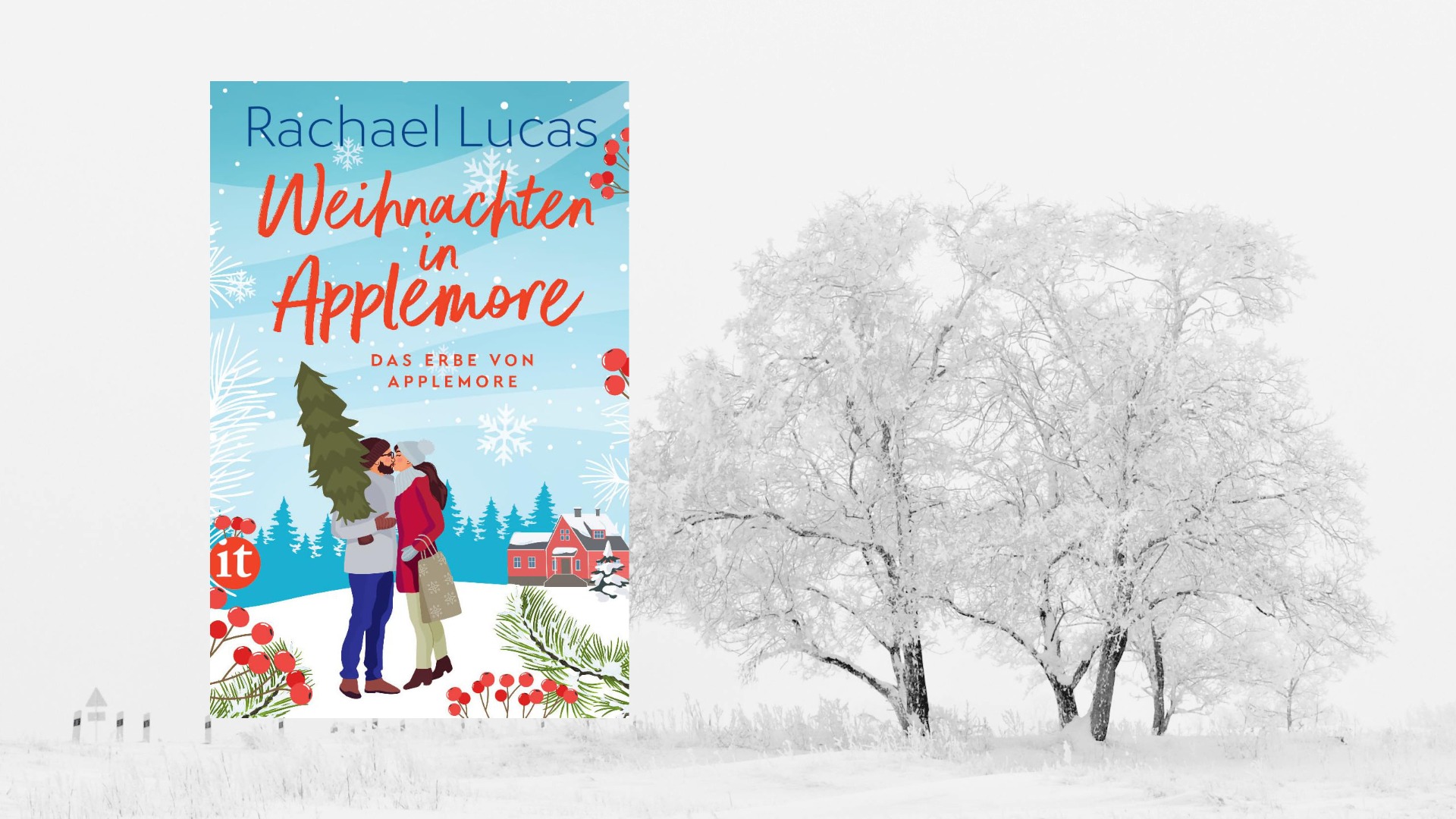 Weihnachten in Applemore: Ein Herz erwärmendes Buch
