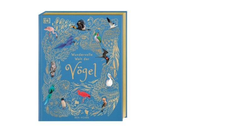 Welt der Vögel