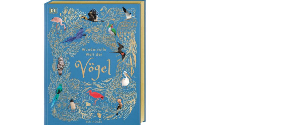 Welt der Vögel