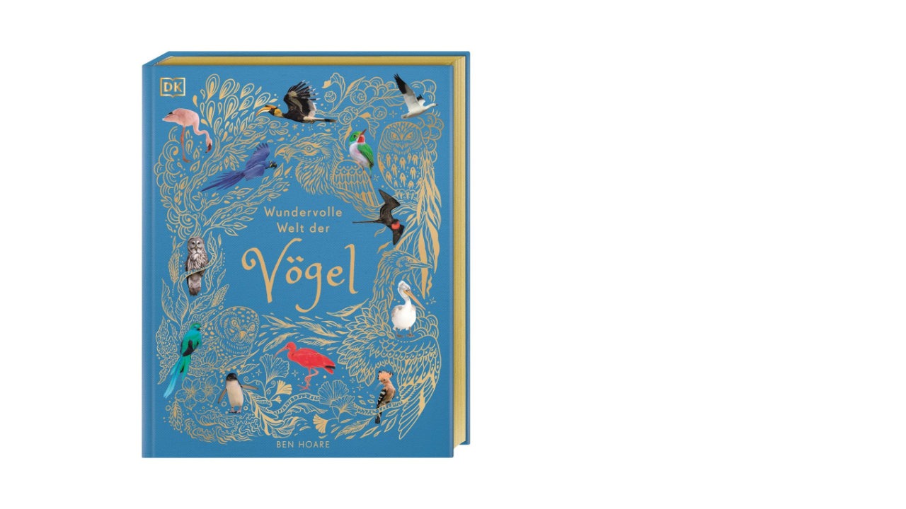 Welt der Vögel