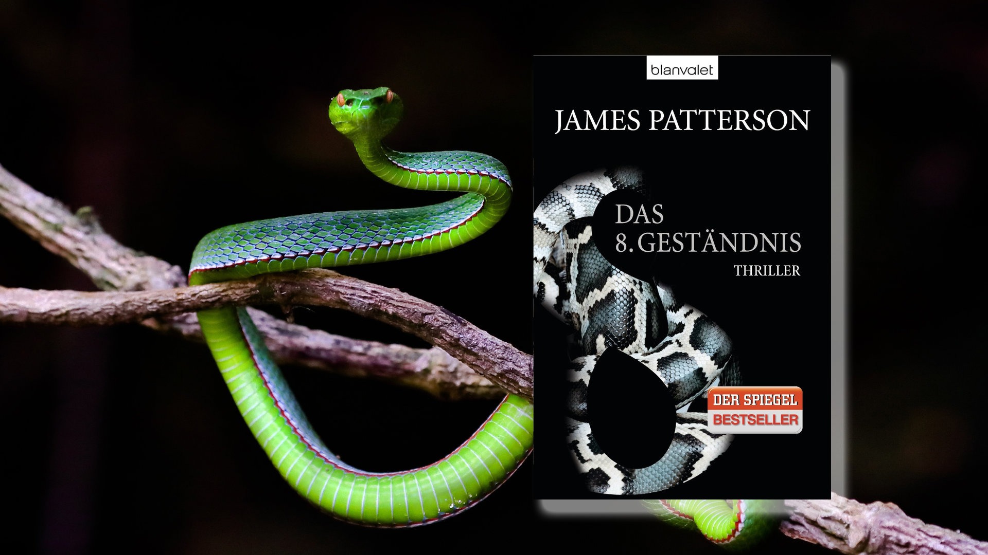 »Das 8. Geständnis« von James Patterson und Maxine Paetro 2 Das 8. Geständnis