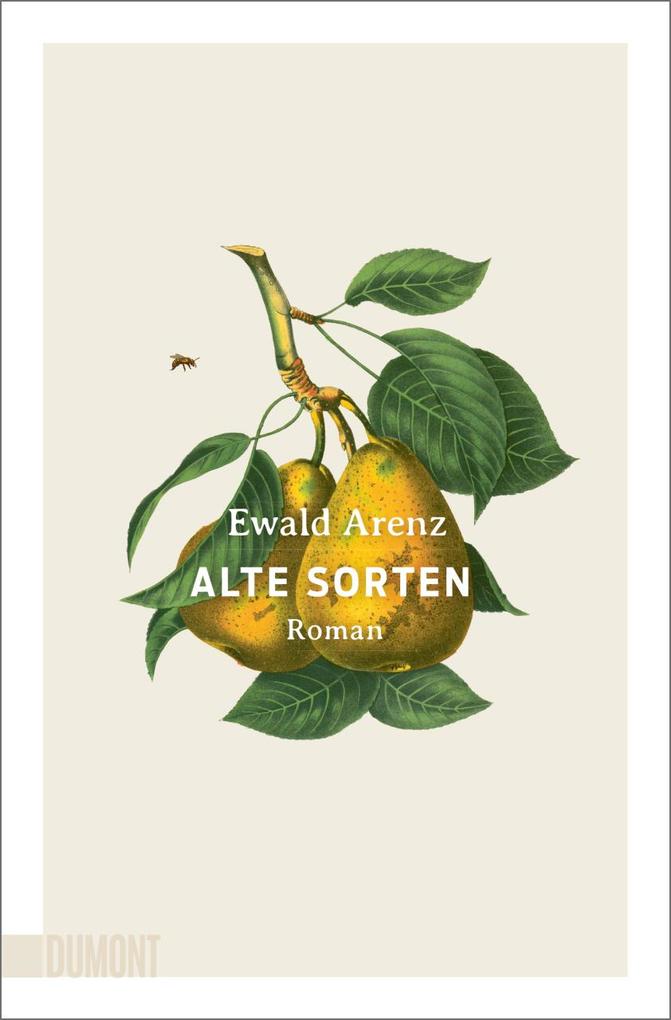 Neues bei hugendubel.de - 10 Bücher für die beste Herbststimmung 1 Neues bei Hugendubel.de